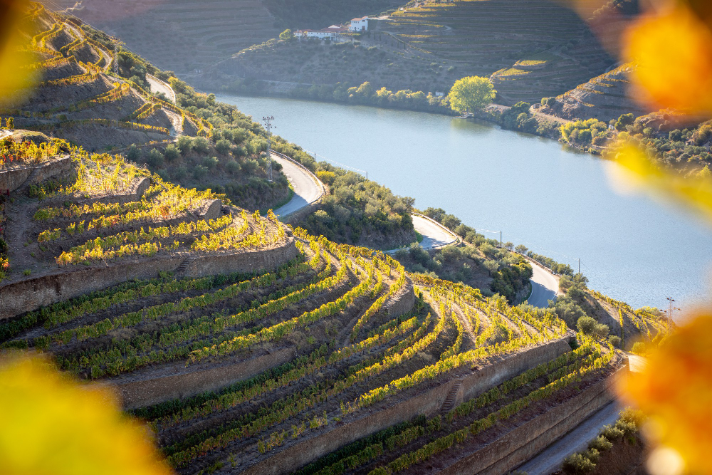 Douro: mnohem víc než portské víno
