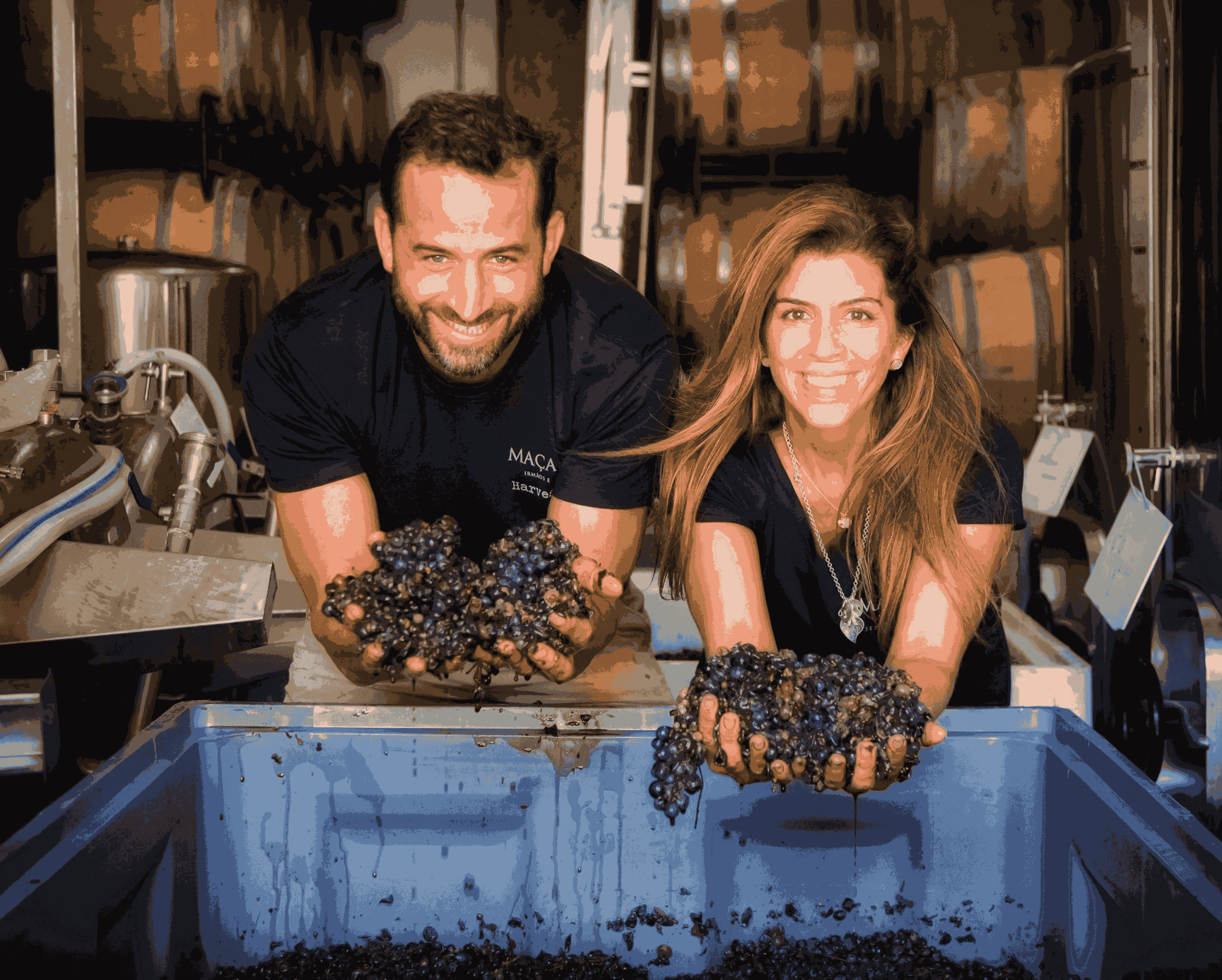 Macanita Vinhos_Douro Doc