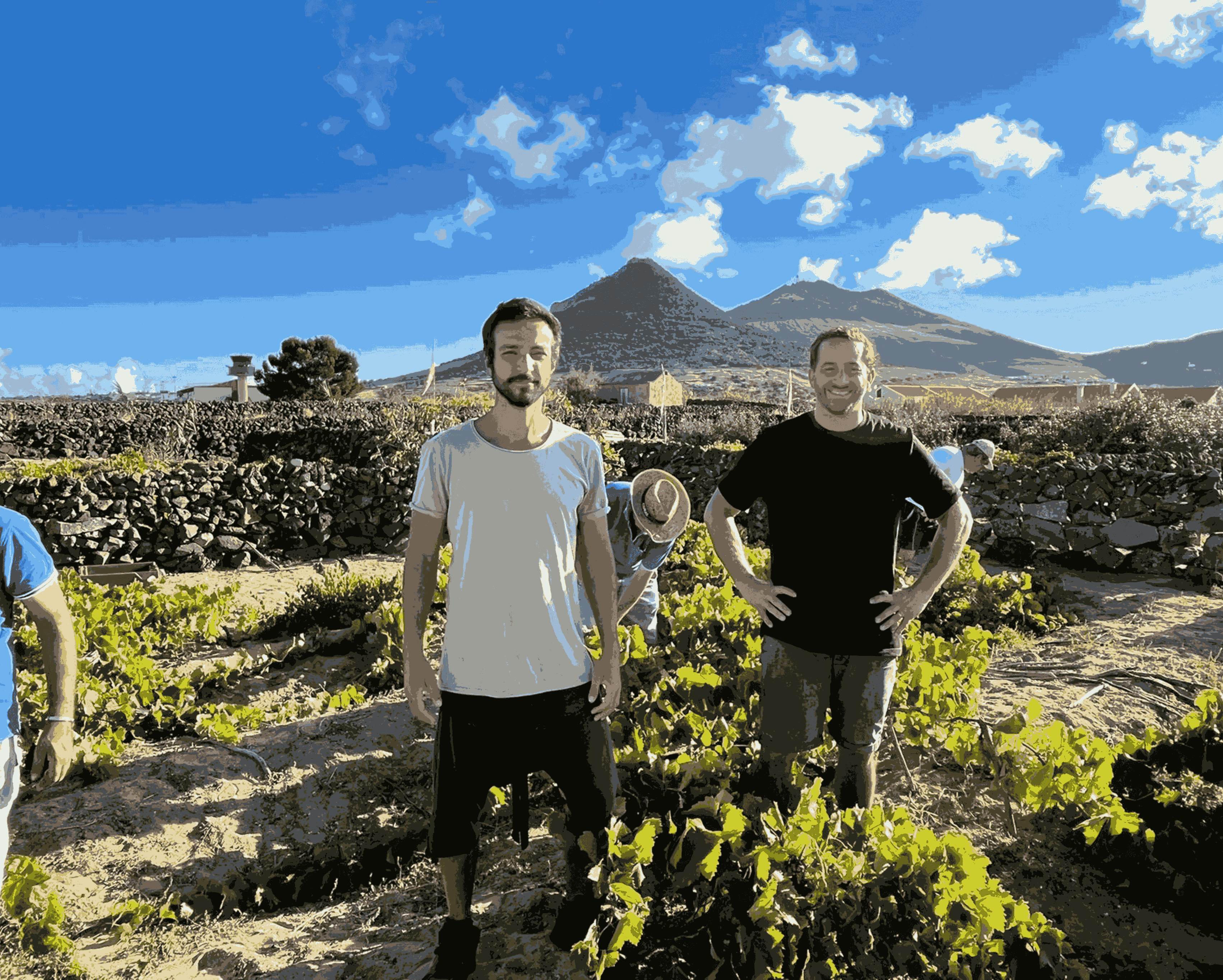 Profetas e Villoes winery_Madeira a Porto Santo