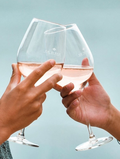 Miluješ Prosecco, Frizzante alebo šumivé víno?