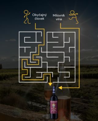 Kto chce, ten si cestu nájde 😂 #italvinum_sk #premiumitalianwines #italianwines #winelover