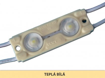 ECO AL modul 2LED | 0,48 W | 160° | IP67 | 3.000K