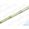 ECO LED pásek 10 mm | 14,4 W | 60x5050 | IP65 | 6.500K