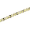 ECO LED pásek 8 mm | 9,6 W | 120x3528 | 6.500K | IP65