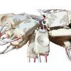 ECO modul 1LED | 0,24 W | 120° | IP65 |červená | 12VDC