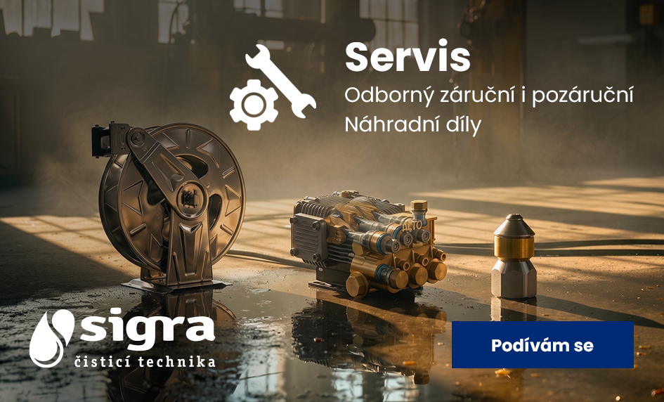 Servis