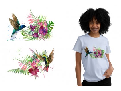 nazehlovacka dva kolibrici