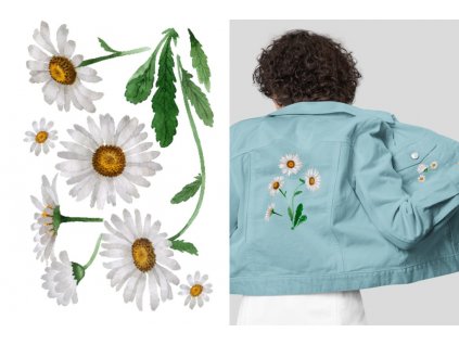 nazehlovacka kopretiny