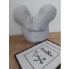 Vankúš Mickey/Minnie minky