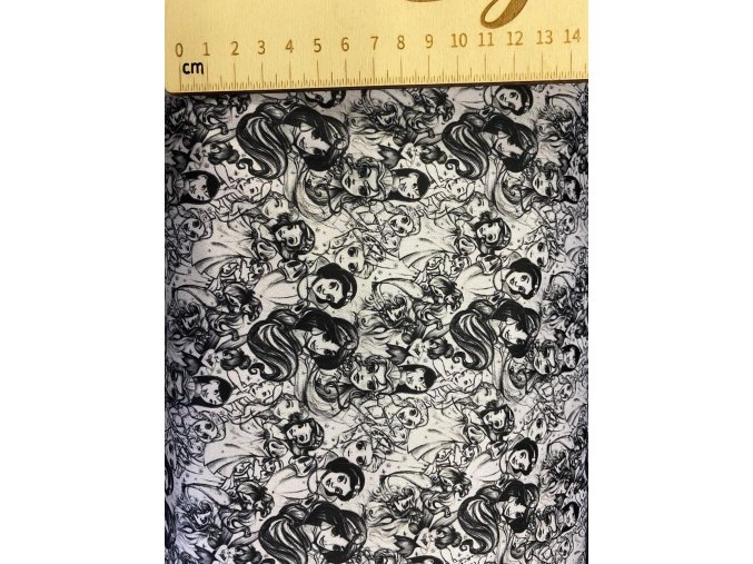 Softshell princezny mini