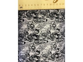 Softshell princezny mini