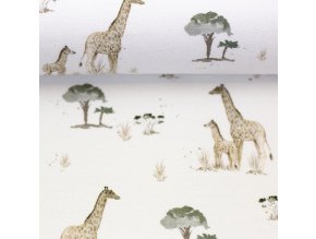 082299 100010 wildanimals christianezilinski ballen
