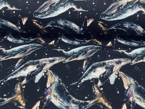 Teplákovina nepočesaná velryby na černé