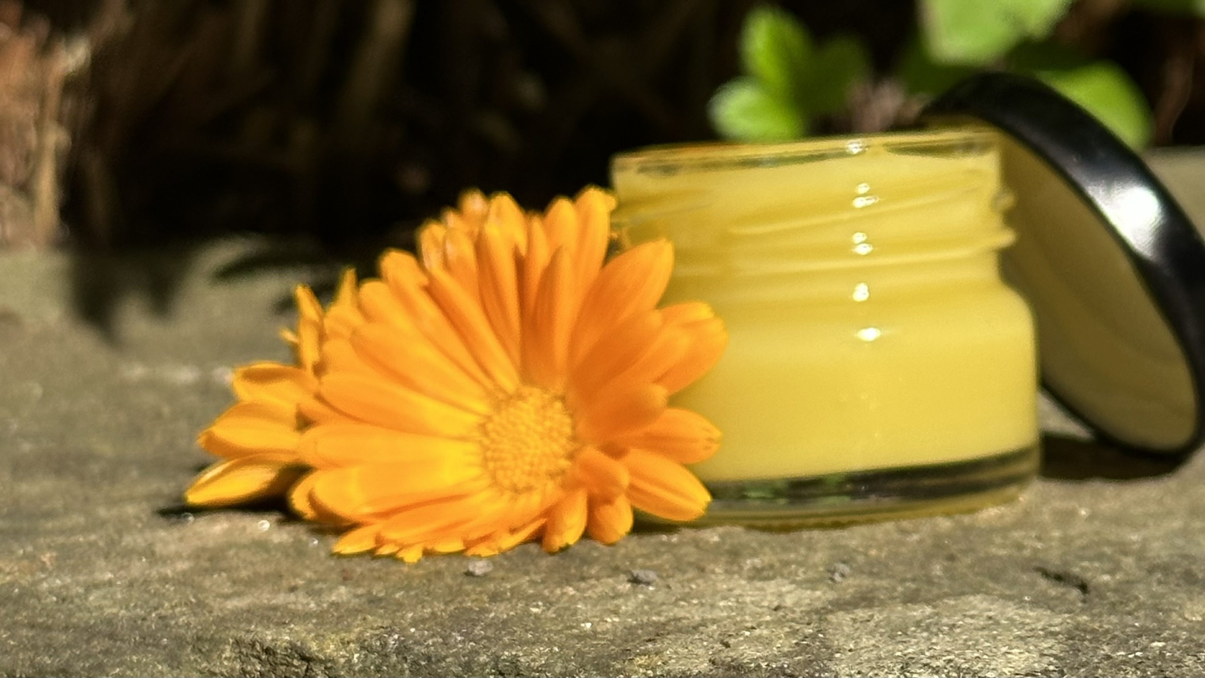 Měsíček na kameni