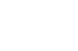 Šikky látky