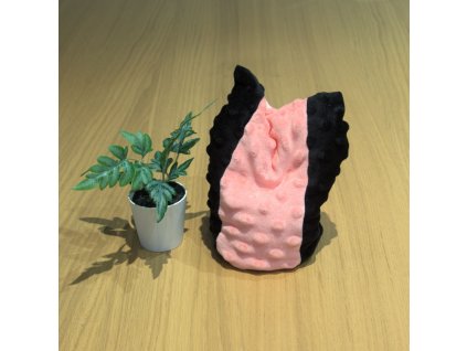 sedaci vak lososova1