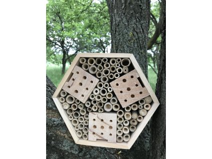 2FD94E6E A8F0 459C 8C25 21C5359EC2A0