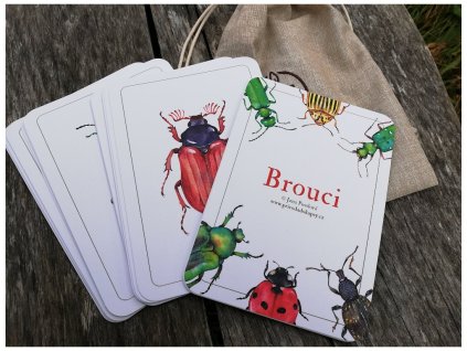 brouci