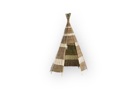 Photoroom 20250114 190912