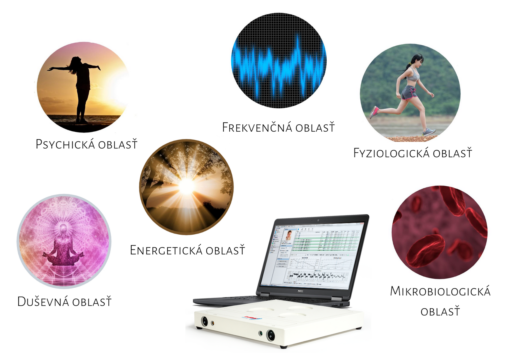 Medicína informačního pole