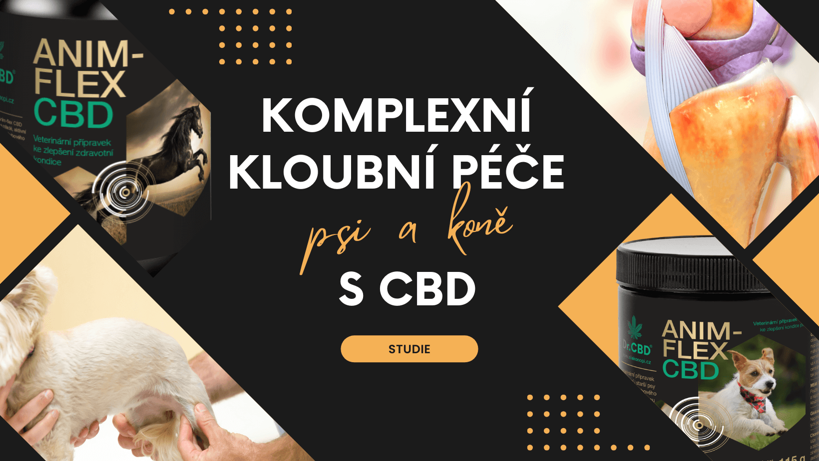 ANIM-FLEX CBD: Komplexní kloubní péče pro psy a koně podložená vědeckými studiemi