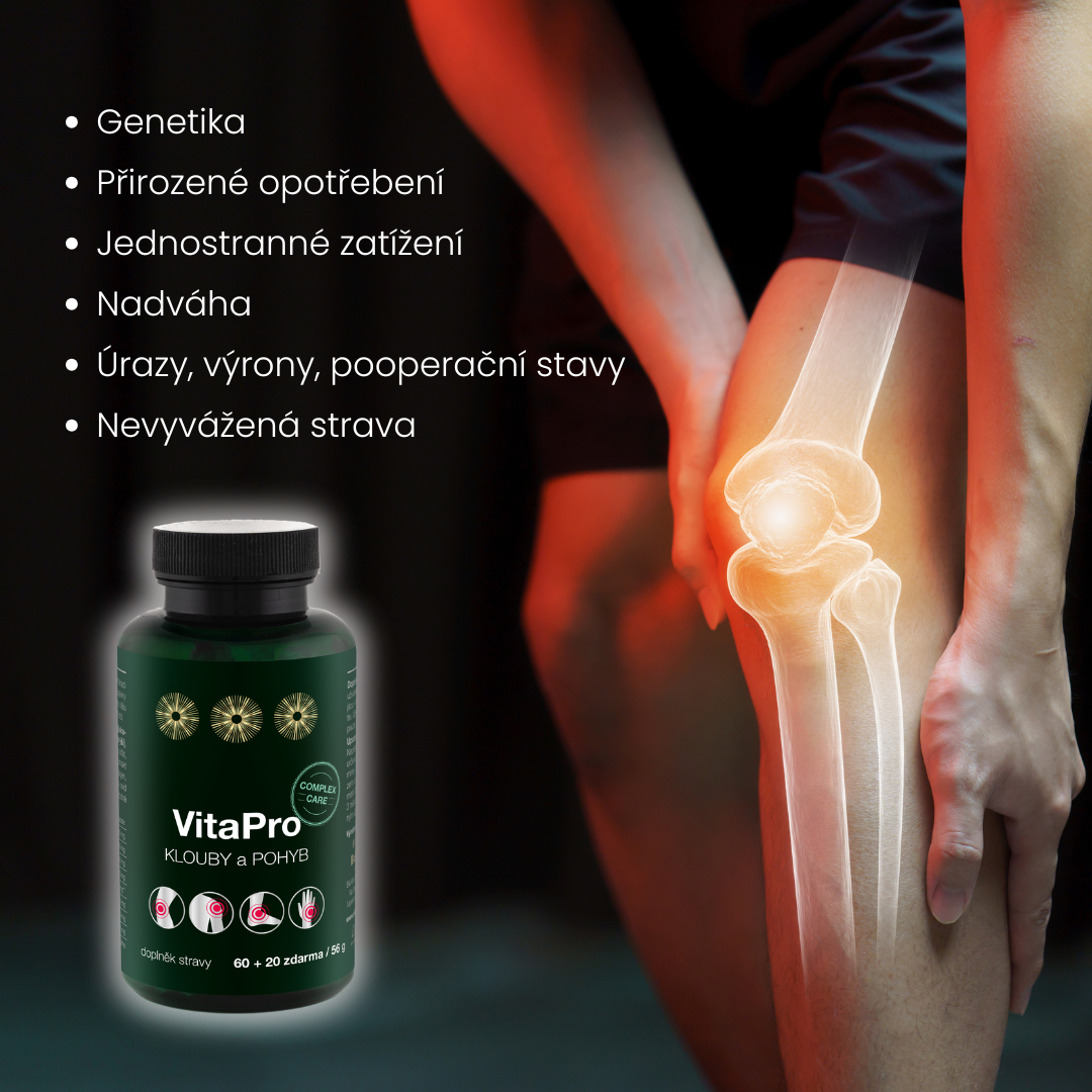 výživa na klouby
