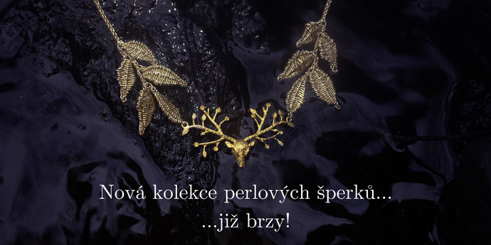 Na co se můžete těšit?