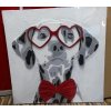 Obraz DALMATIAN RED