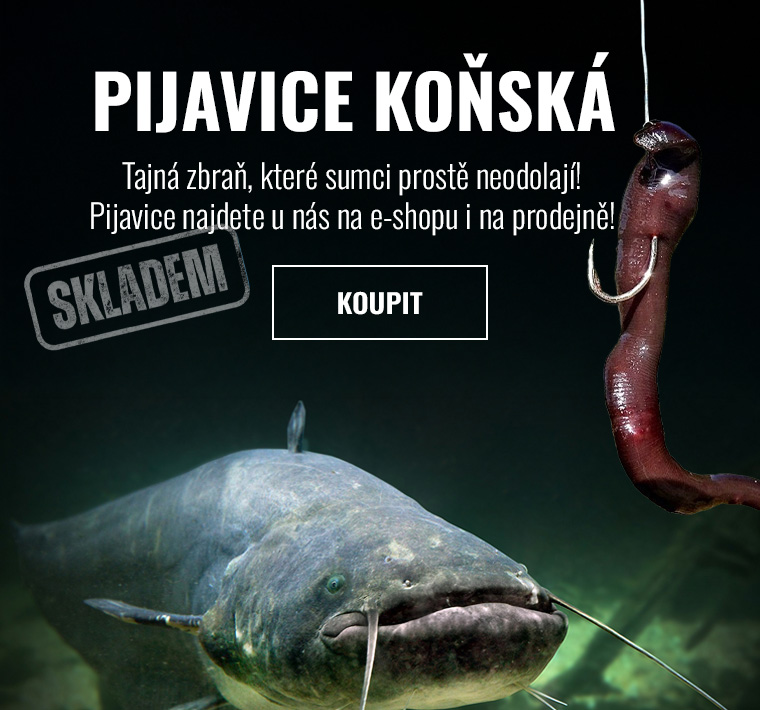 Pijavice