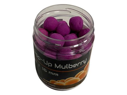22197 mastodont baits fluo pop up boilies mulberry 16mm 200ml