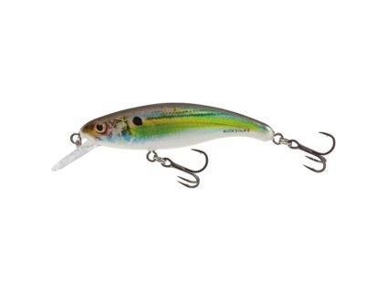 salmo wobler slick stick floating holographic stickleback 6 cm