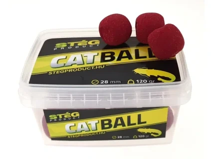 7547 catch ball