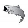 8745 nalepka pstruh silver