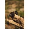 black cat polarizacni bryle sunglasses polarised flyer (3)