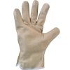 Rukavice ASTAR, celokožené (Veľkosť 10)