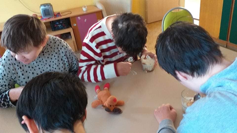 Participácia v praxi 2 v DSS v Adamovských Kochanovciach