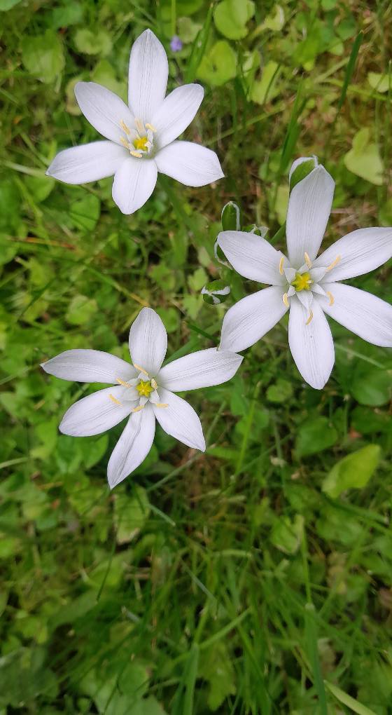 CHKO Biele Karpaty - čo vieme to Vám rozpovieme