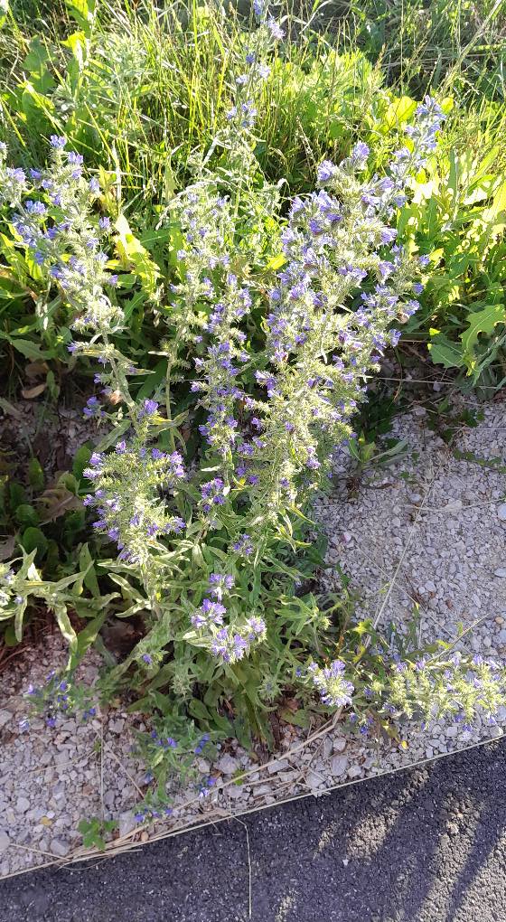 CHKO Biele Karpaty - čo vieme to Vám ukážeme stále pokračujeme