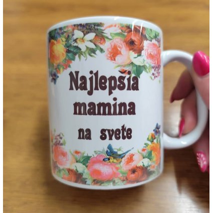 484652271 1047446587421957 591121718162646118 n