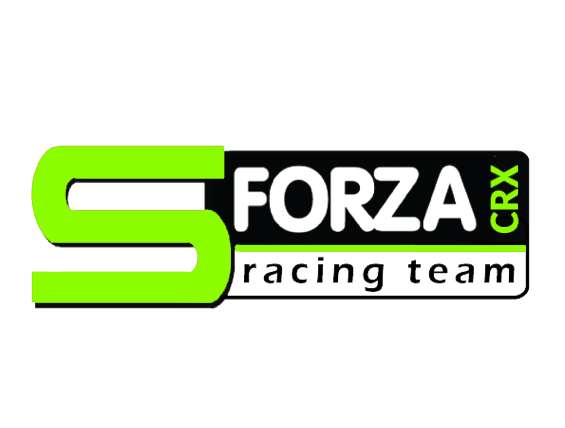 S-FORZA_logozelena-565x428