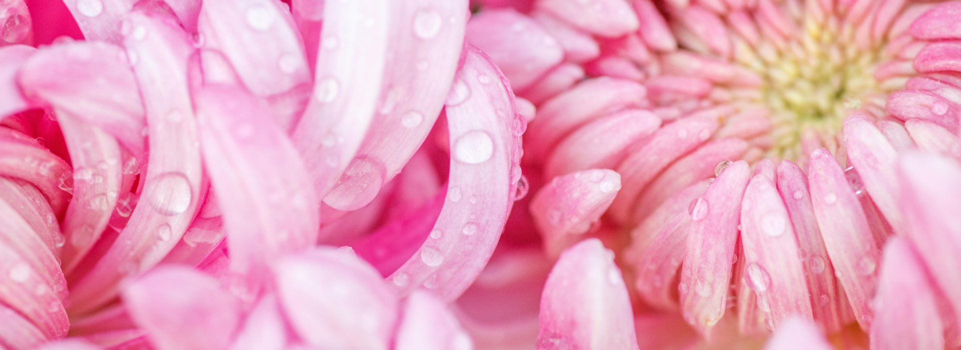 Plameň, ktorý zjemní každý večer.