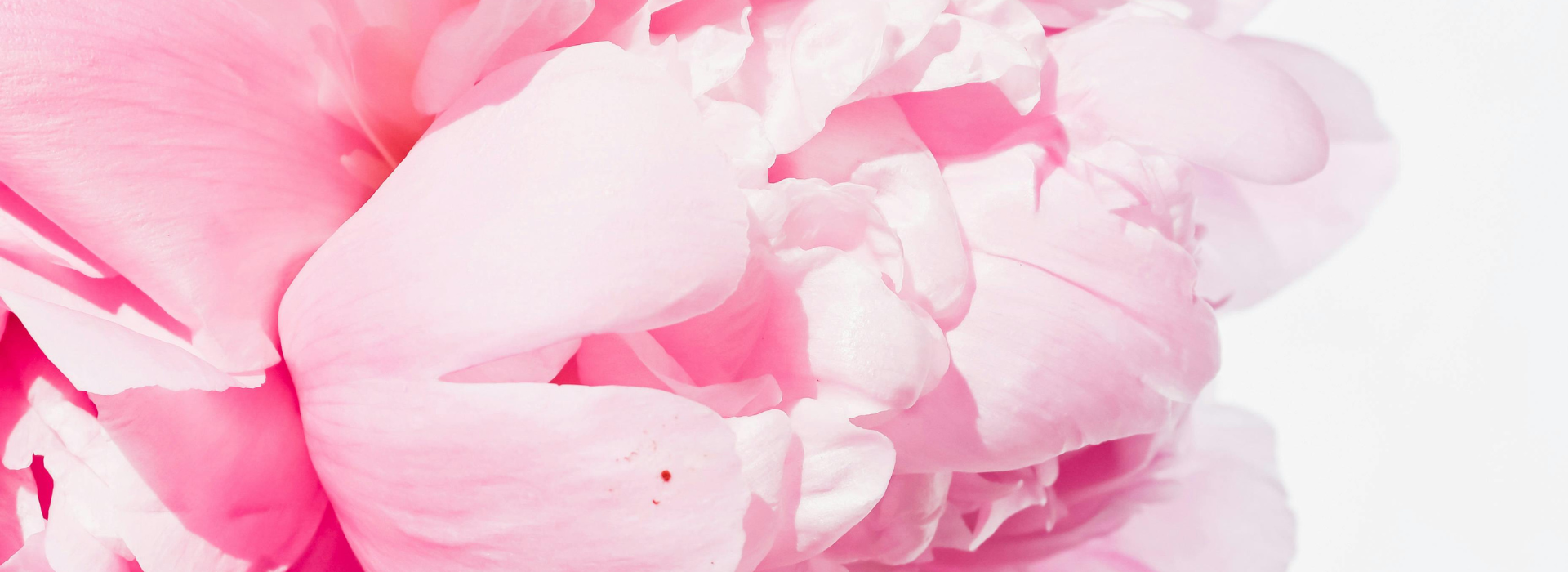 Ako na správnu starostlivosť o sviečku