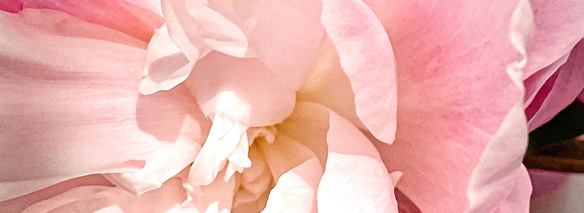 S láskou ručne vyrobené na Slovensku – sviečky zo sójového vosku. Prírodné zloženie. Sviečky od značky Silué.