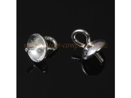 kaplik s ockem a trnem 1