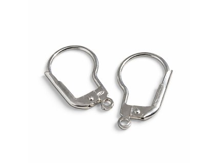 Náušnicový háček