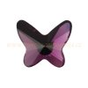 motyl amethyst 1