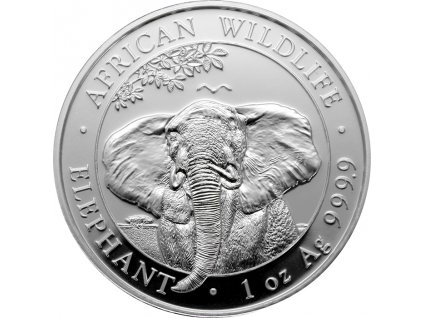 slon africky somalsko 1 oz 2021 01 det