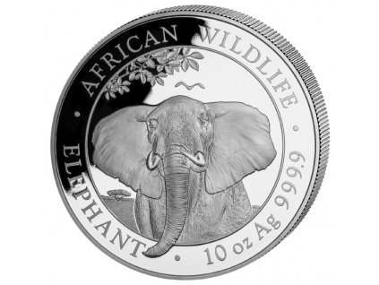 71601052021 20 10oz Ag African Wildlife Elephant VS