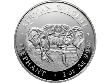 slon africky somalsko 2oz 2020 01 det