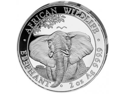 eng pl African Wildlife Somalia Elephant 2 oz Silver 2021 4909 2